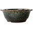 Ronde bruine bonsaipot van Juko Koyou - 206 x 206 x 78 mm