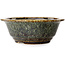 Round brown bonsai pot by Juko Koyou - 180 x 180 x 65 mm