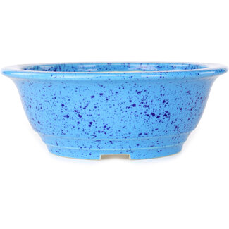Koyou 206 mm  light blue bonsai pot by Juko Koyou, Tokoname, Japan