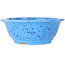 Round light blue bonsai pot by Juko Koyou - 206 x 206 x 78 mm