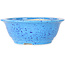 Round light blue bonsai pot by Juko Koyou - 206 x 206 x 78 mm