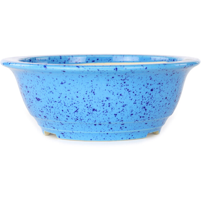 Vaso bonsai rotondo azzurro di Juko Koyou - 206 x 206 x 78 mm