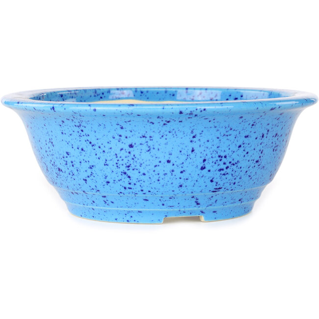 Round light blue bonsai pot by Juko Koyou - 206 x 206 x 78 mm