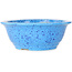Round light blue bonsai pot by Juko Koyou - 206 x 206 x 78 mm