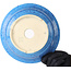 Ronde lichtblauwe bonsaipot van Juko Koyou - 206 x 206 x 78 mm