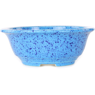 Koyou 173 mm  light blue bonsai pot by Juko Koyou, Tokoname, Japan