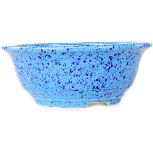 Pot à bonsaï rond bleu clair de Juko Koyou - 173 x 173 x 65 mm