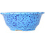 Round light blue bonsai pot by Juko Koyou - 173 x 173 x 65 mm