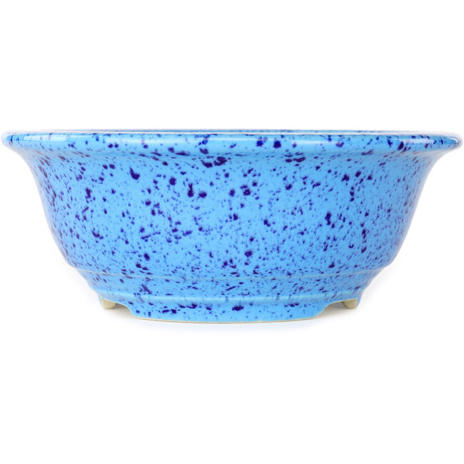 Pot à bonsaï rond bleu clair de Juko Koyou - 173 x 173 x 65 mm