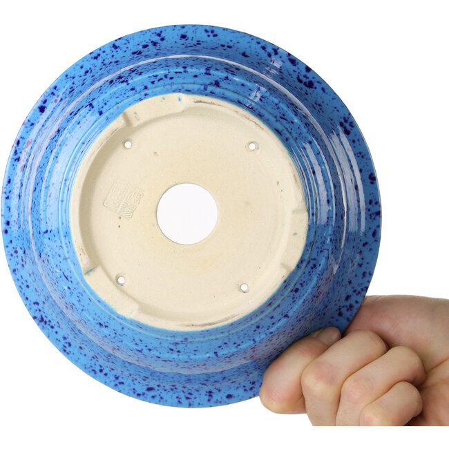Pot à bonsaï rond bleu clair de Juko Koyou - 173 x 173 x 65 mm