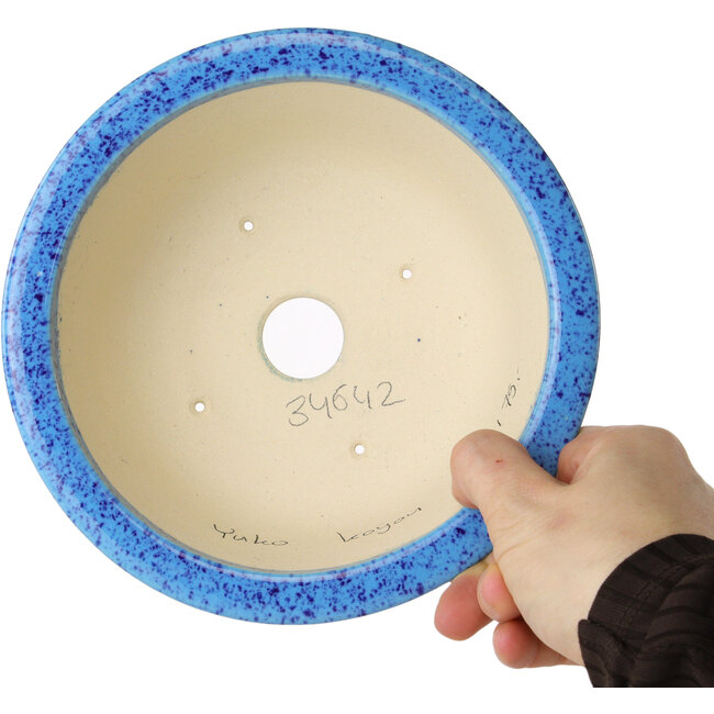 Pot à bonsaï rond bleu clair de Juko Koyou - 173 x 173 x 65 mm