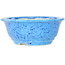 Round light blue bonsai pot by Juko Koyou - 140 x 140 x 55 mm