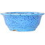 Round light blue bonsai pot by Juko Koyou - 140 x 140 x 55 mm