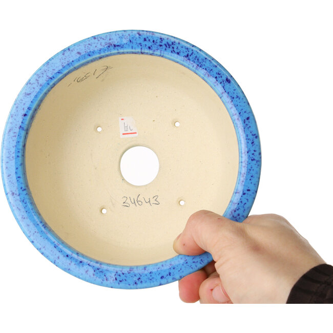 Pot à bonsaï rond bleu clair de Juko Koyou - 140 x 140 x 55 mm