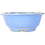 Ronde lichtblauwe bonsaipot van Juko Koyou - 140 x 140 x 55 mm