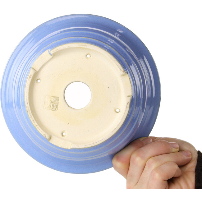 Pot à bonsaï rond bleu clair de Juko Koyou - 173 x 173 x 65 mm