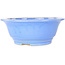 Round light blue bonsai pot by Juko Koyou - 206 x 206 x 78 mm