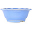 Round light blue bonsai pot by Juko Koyou - 206 x 206 x 78 mm