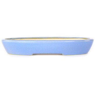 Koyou Vaso per bonsai azzurro chiaro da 250 mm di Juko Koyou, Tokoname, Giappone