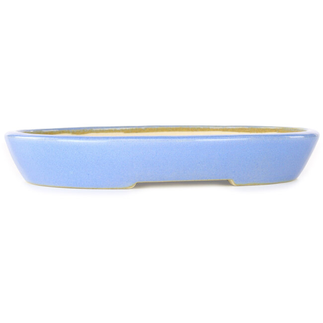 Maceta ovalada para bonsái azul claro de Juko Koyou - 250 x 205 x 40 mm