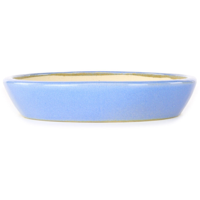 Maceta ovalada para bonsái azul claro de Juko Koyou - 250 x 205 x 40 mm