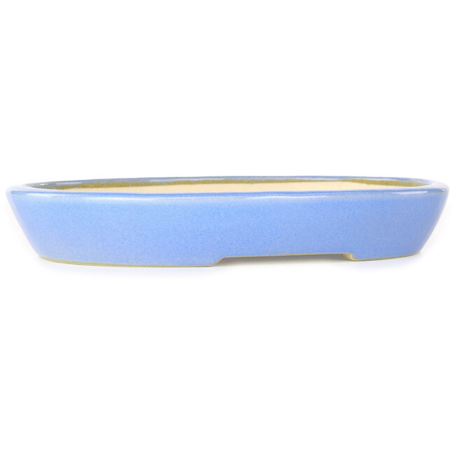 Maceta ovalada para bonsái azul claro de Juko Koyou - 250 x 205 x 40 mm