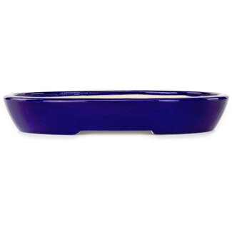Koyou Maceta para bonsái azul oscuro de 250 mm de Juko Koyou, Tokoname, Japón