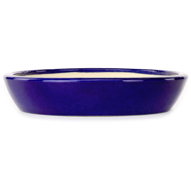 Oval dark blue bonsai pot by Juko Koyou - 250 x 205 x 40 mm