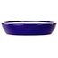 Ovale donkerblauwe bonsaipot van Juko Koyou - 250 x 205 x 40 mm