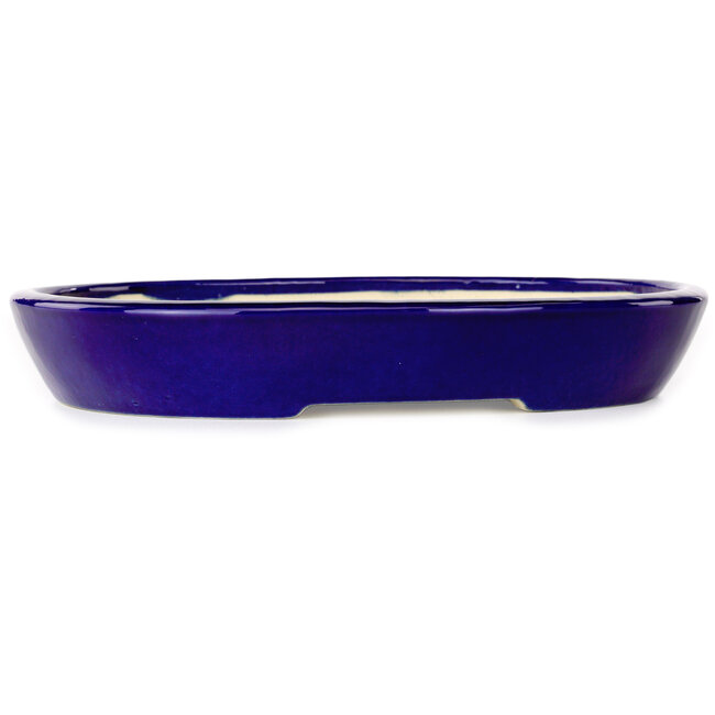 Maceta ovalada para bonsái azul oscuro de Juko Koyou - 250 x 205 x 40 mm