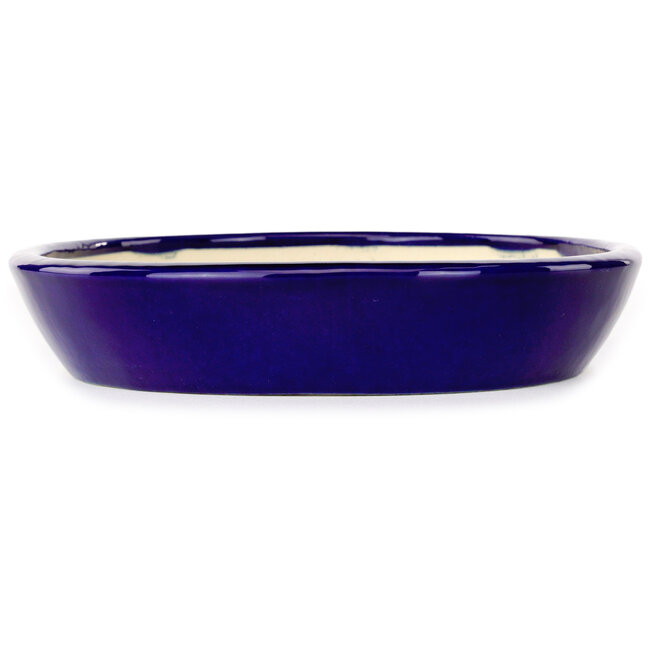 Pot à bonsaï ovale bleu foncé de Juko Koyou - 250 x 205 x 40 mm