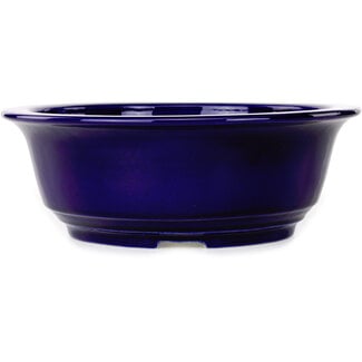 Koyou 240 mm  dark blue bonsai pot by Juko Koyou, Tokoname, Japan