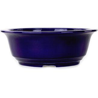 Koyou Pot à bonsaï bleu foncé 240 mm par Juko Koyou, Tokoname, Japon