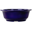 Ronde donkerblauwe bonsaipot van Juko Koyou - 240 x 240 x 80 mm
