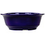Round dark blue bonsai pot by Juko Koyou - 240 x 240 x 80 mm