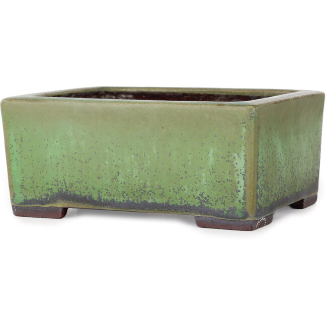Maceta rectangular verde para bonsái de Yamaaki - 155 x 130 x 70 mm