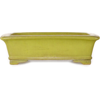 Gyouzan - Yukizyou Nakano & Yuuji Nakano 295 mm  yellow bonsai pot by Uji (Gyouzan), Tokoname, Japan