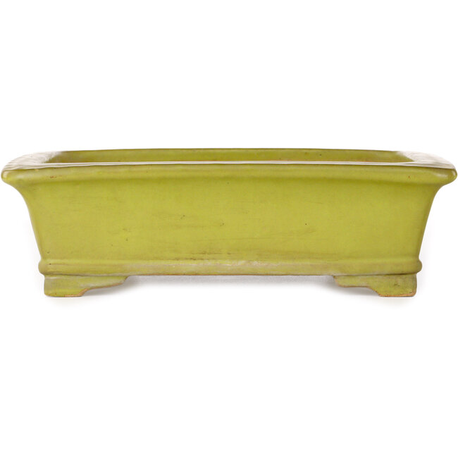 Vaso bonsai rettangolare giallo di Uji (Gyouzan) - 295 x 250 x 80 mm