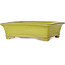 Rectangular yellow bonsai pot by Uji (Gyouzan) - 295 x 250 x 80 mm