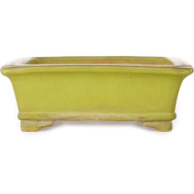 Pot à bonsaï rectangulaire jaune par Uji (Gyouzan) - 295 x 250 x 80 mm