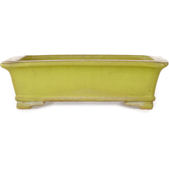 Vaso bonsai rettangolare giallo di Uji (Gyouzan) - 295 x 250 x 80 mm