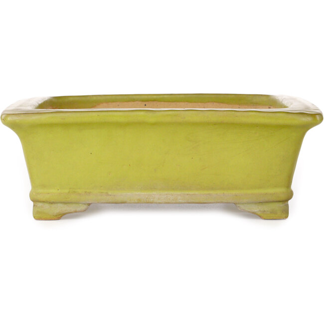Rectangular yellow bonsai pot by Uji (Gyouzan) - 295 x 250 x 80 mm