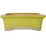 Vaso bonsai rettangolare giallo di Uji (Gyouzan) - 295 x 250 x 80 mm