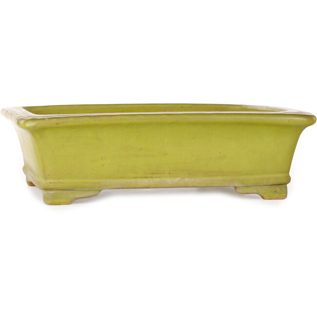 Pot à bonsaï rectangulaire jaune par Uji (Gyouzan) - 295 x 250 x 80 mm