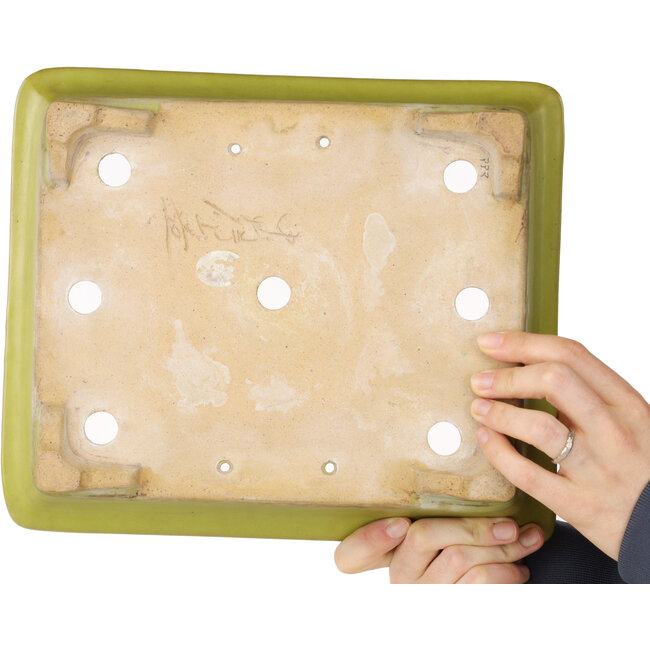 Maceta rectangular amarilla para bonsái de Uji (Gyouzan) - 295 x 250 x 80 mm