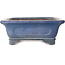 Maceta rectangular azul para bonsái de Uji (Gyouzan) - 295 x 245 x 90 mm