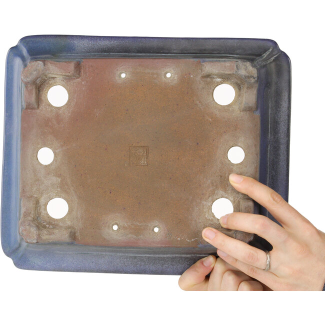 Vaso bonsai rettangolare blu di Uji (Gyouzan) - 295 x 245 x 90 mm