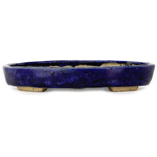  Echizen Hosui 170 mm  blue bonsai pot by Echizen, Japan