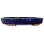 Oval blue bonsai pot by Echizen - 170 x 135 x 27 mm