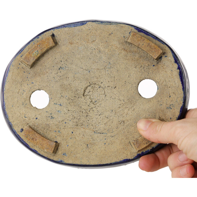 Ovale blauwe bonsaipot van Echizen - 170 x 135 x 27 mm